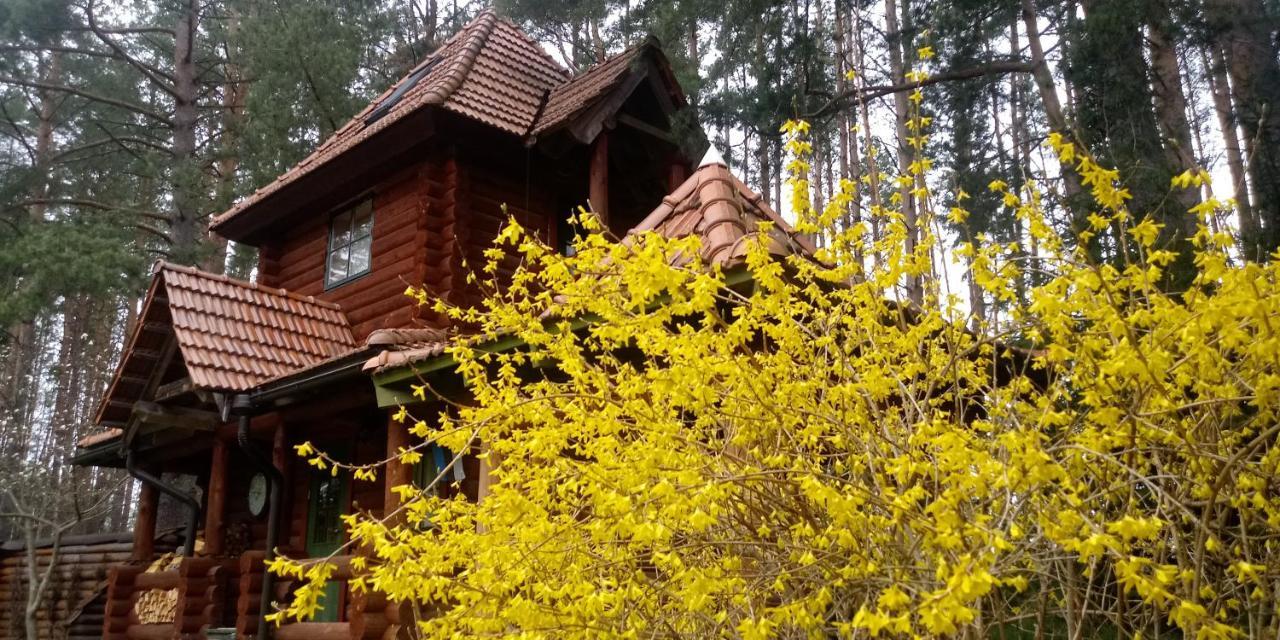 Villa Georgia Aardla エクステリア 写真